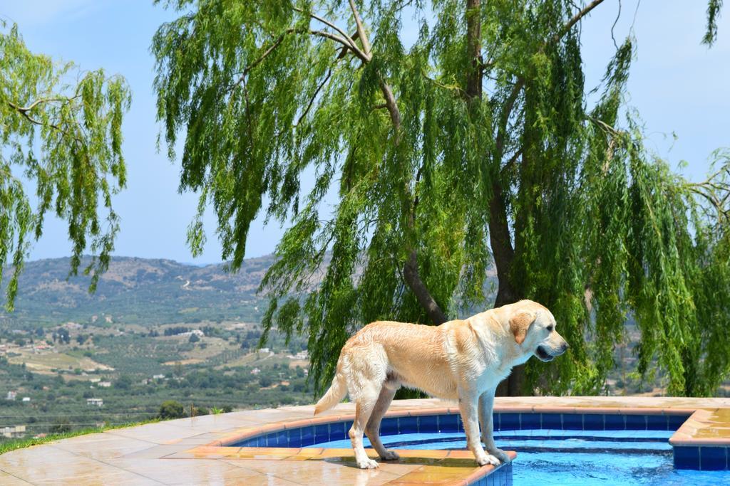 Aspalathos Villas Filippos Экстерьер фото